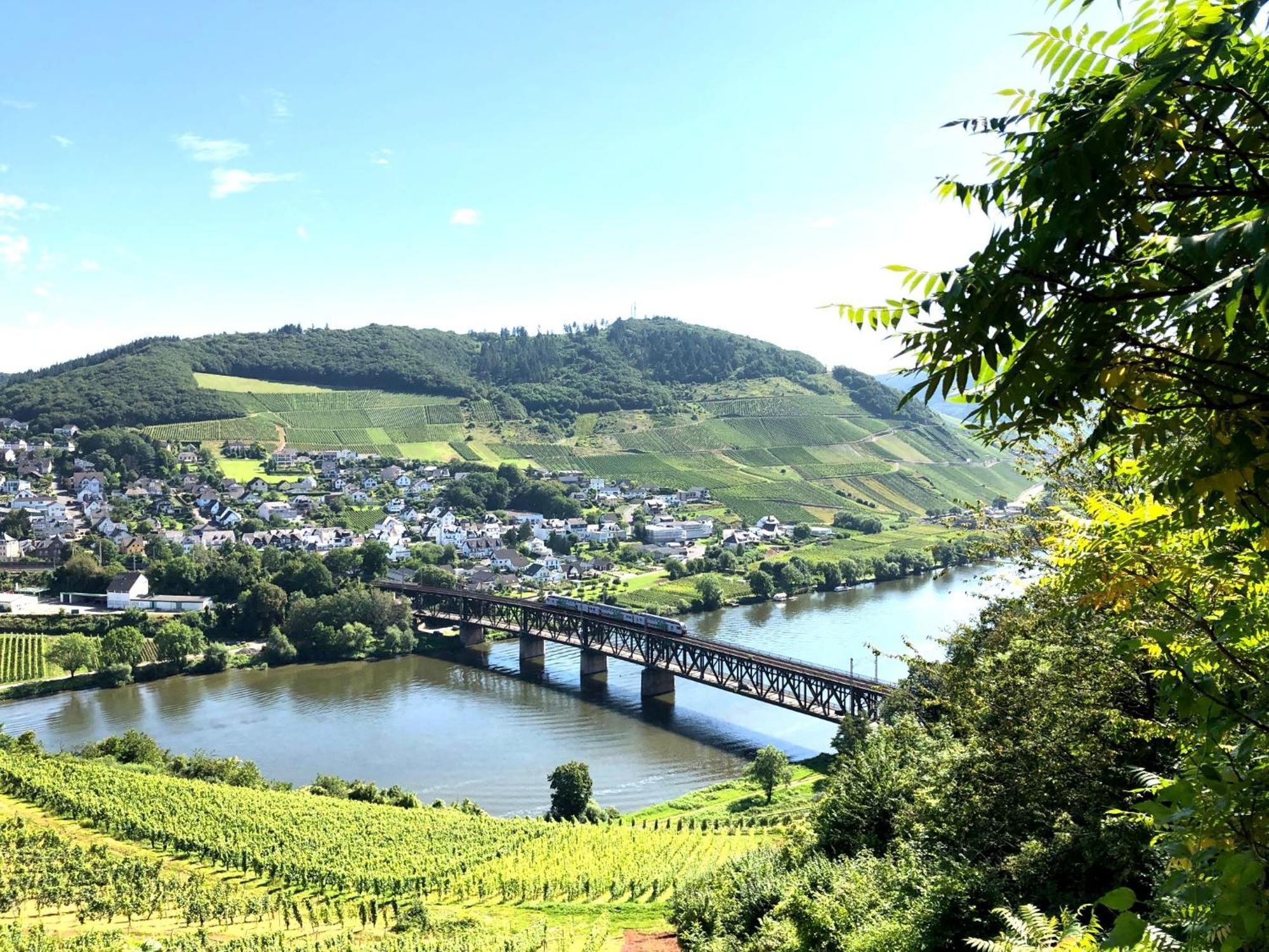 Ferienhaus Bad Bertrich * Bad Bertrich